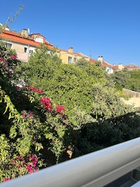 Vue du patio arrière