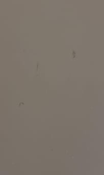 Hair left in shower from someone shaving