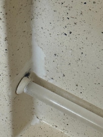 Shower bar with mold