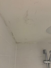 Mouldy bathroom ceiling