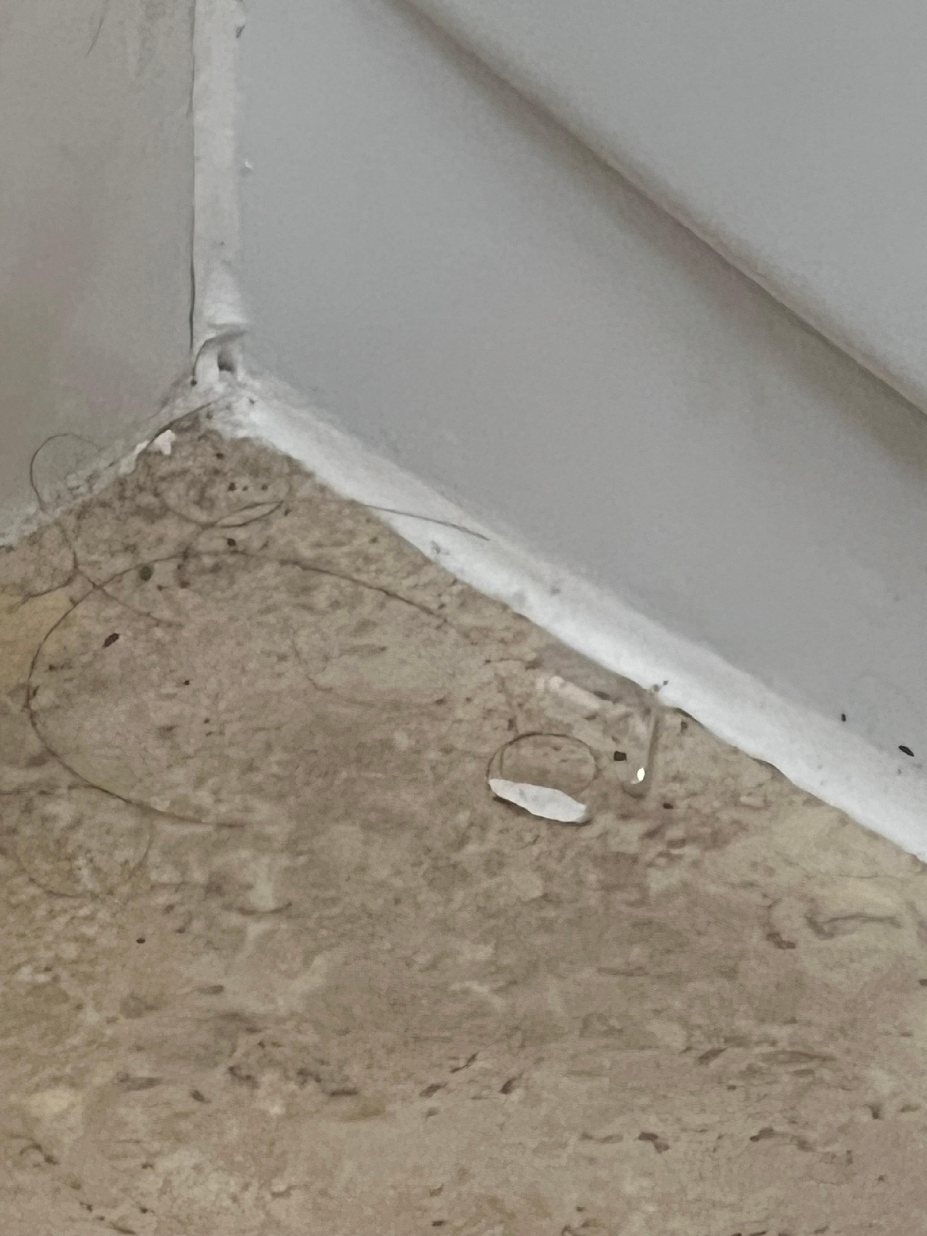 This is the bathroom in the first room that they had us in very dirty hair all over the place stains on the blankets