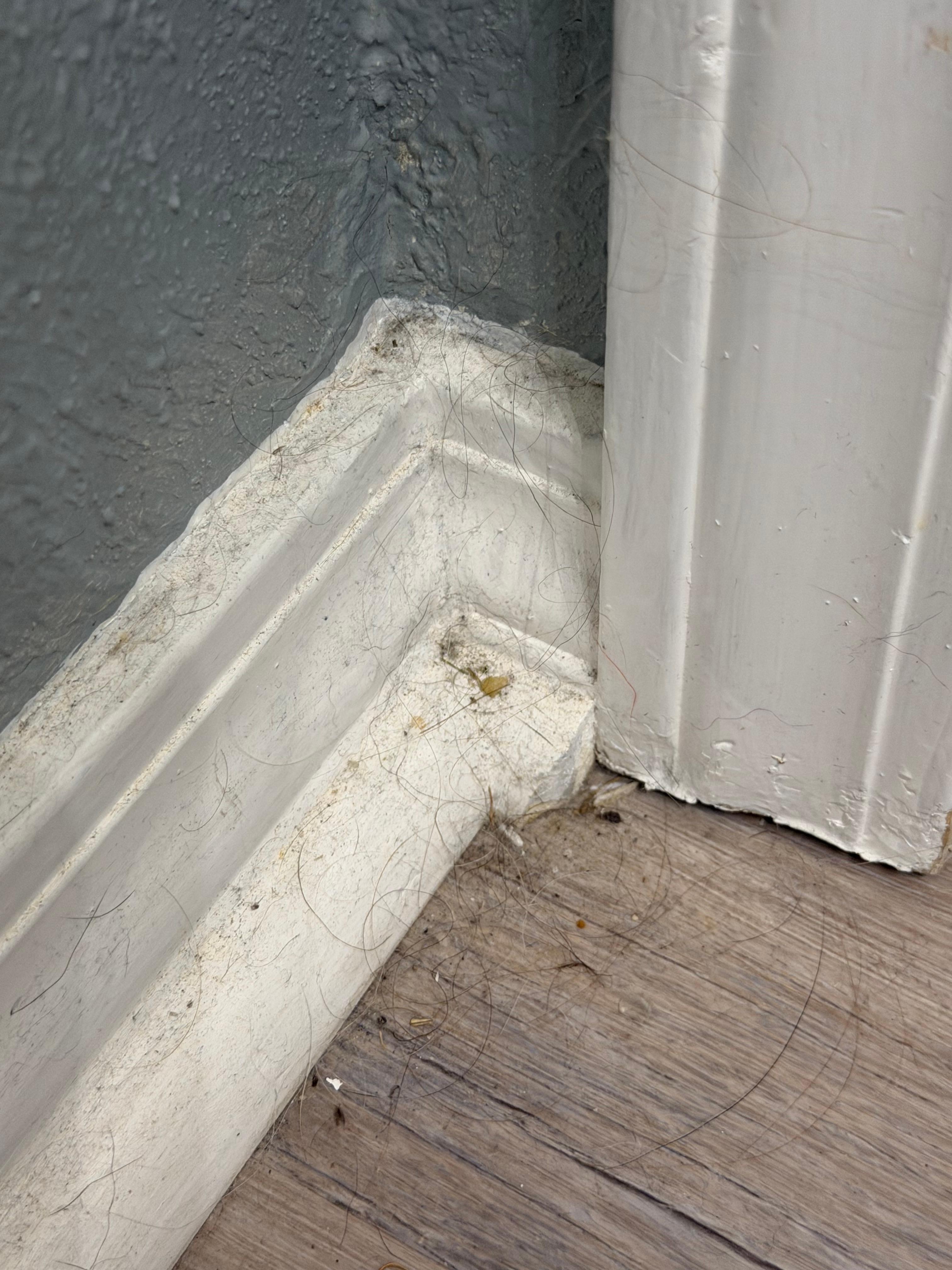 More baseboard floor area 