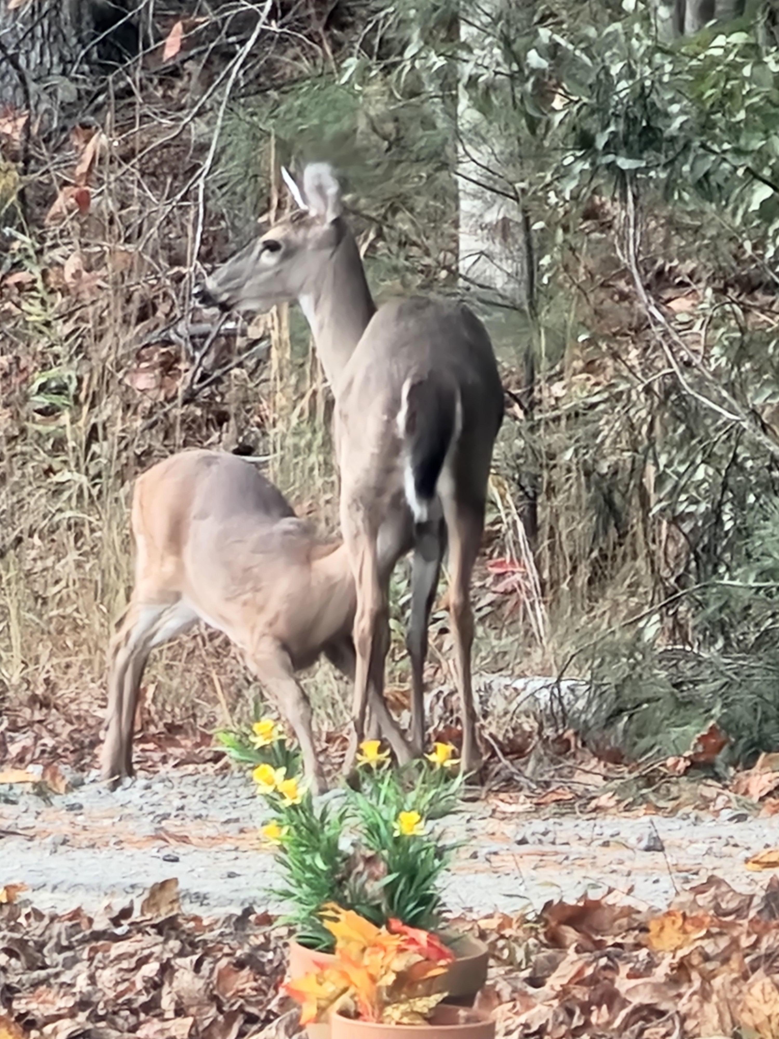 Visitors at the camper
