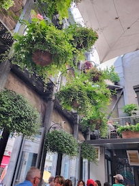 Jardin Nelson