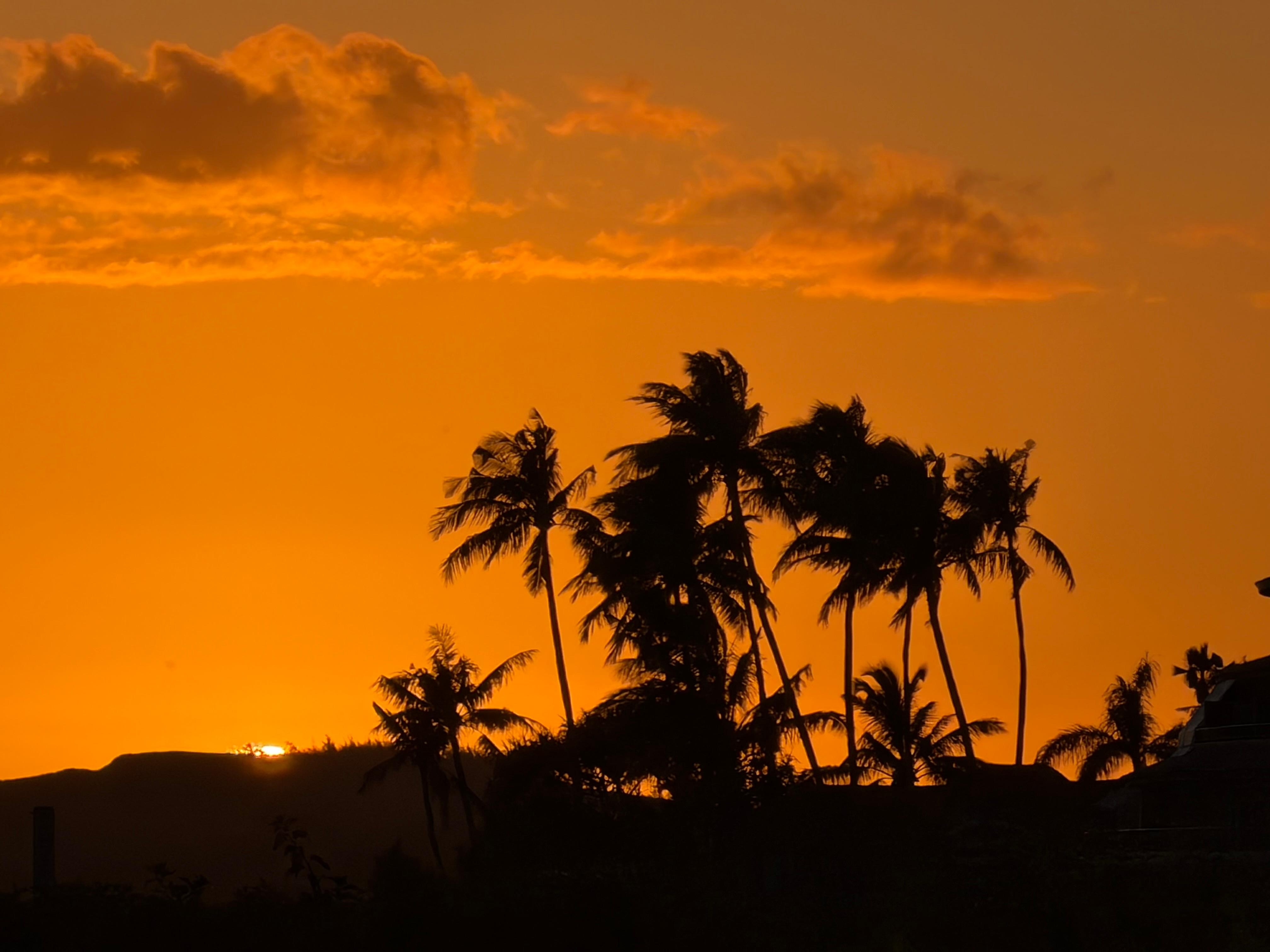 Nightly sunset view. 