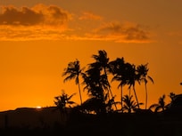 Nightly sunset view.