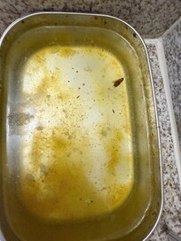 I ate and soaked my bowl before washing it and a roach fell into it