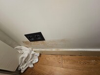 Large mushrooms on wall and floor.