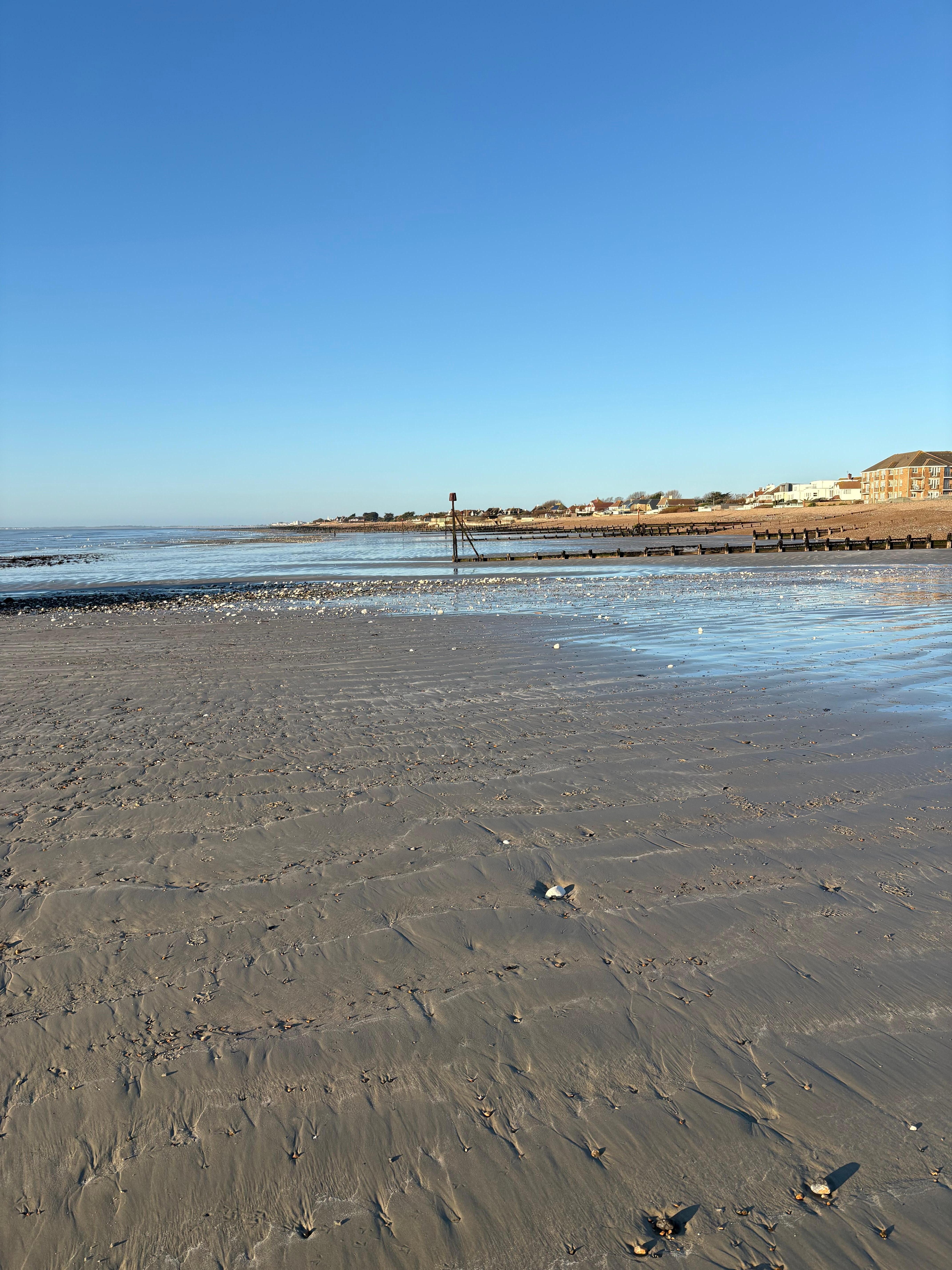 The nearby beach when tide is out 