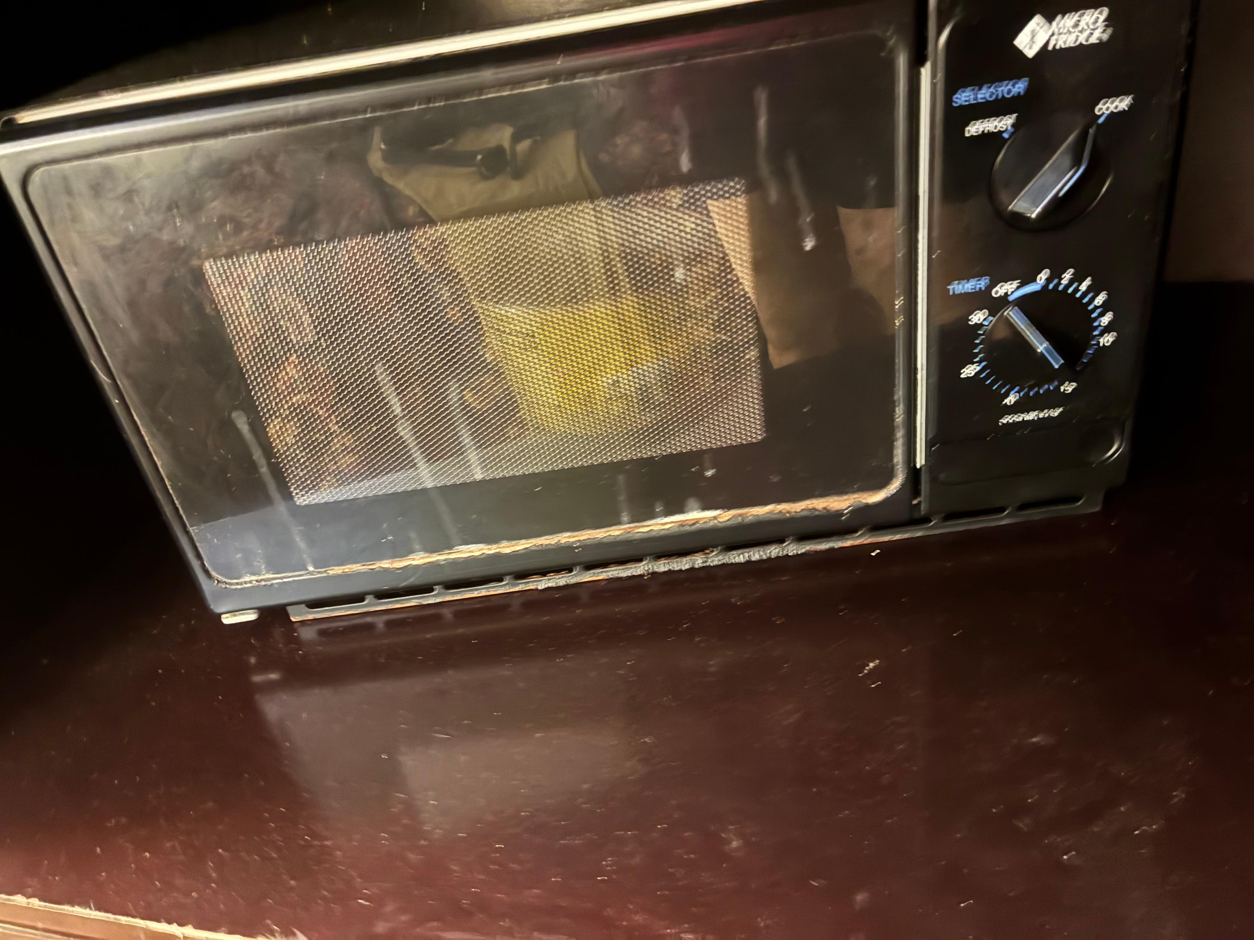 Microwave with two bowls of soup and a lot of gnats