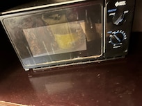 Microwave with two bowls of soup and a lot of gnats