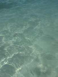 Beautiful waters