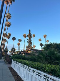 Beautiful walkable neighborhood