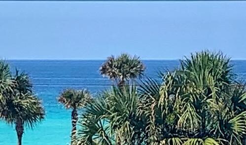 View from porch. 