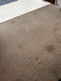 Carpet in dining area