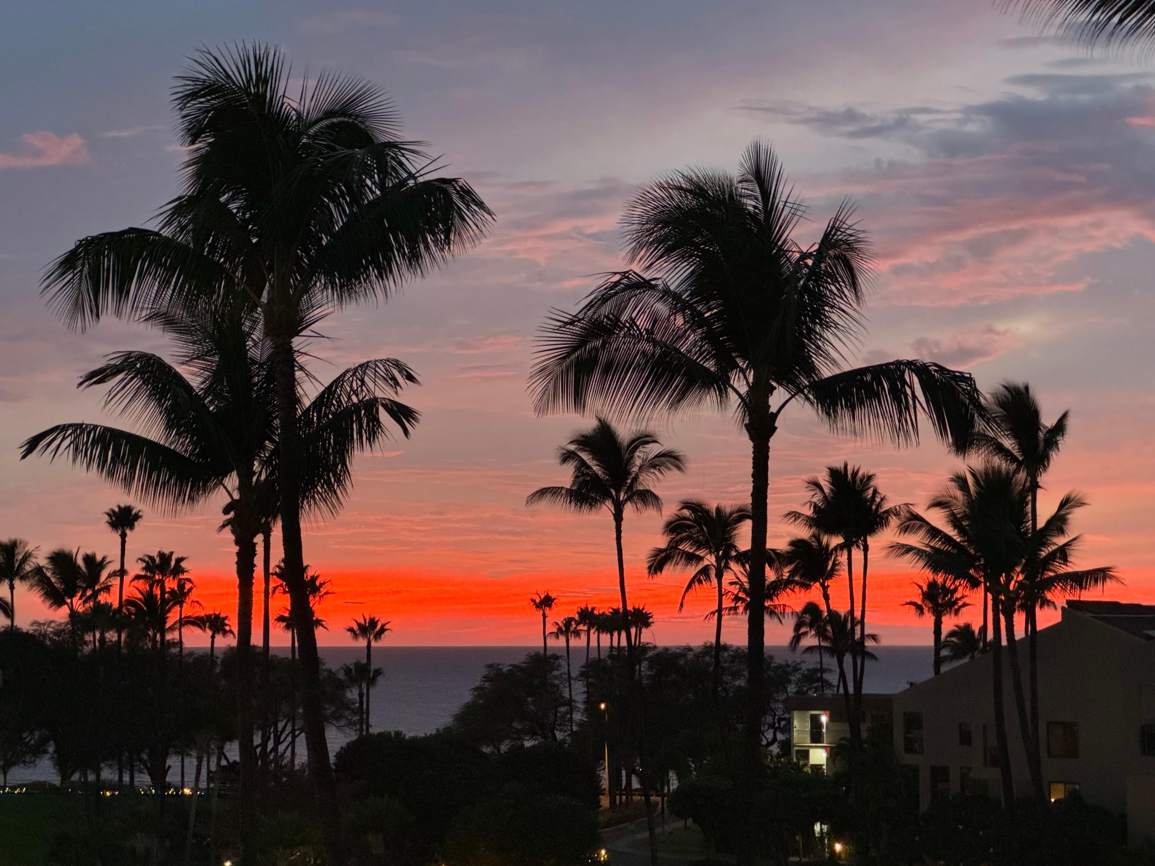 Evening view from lanai