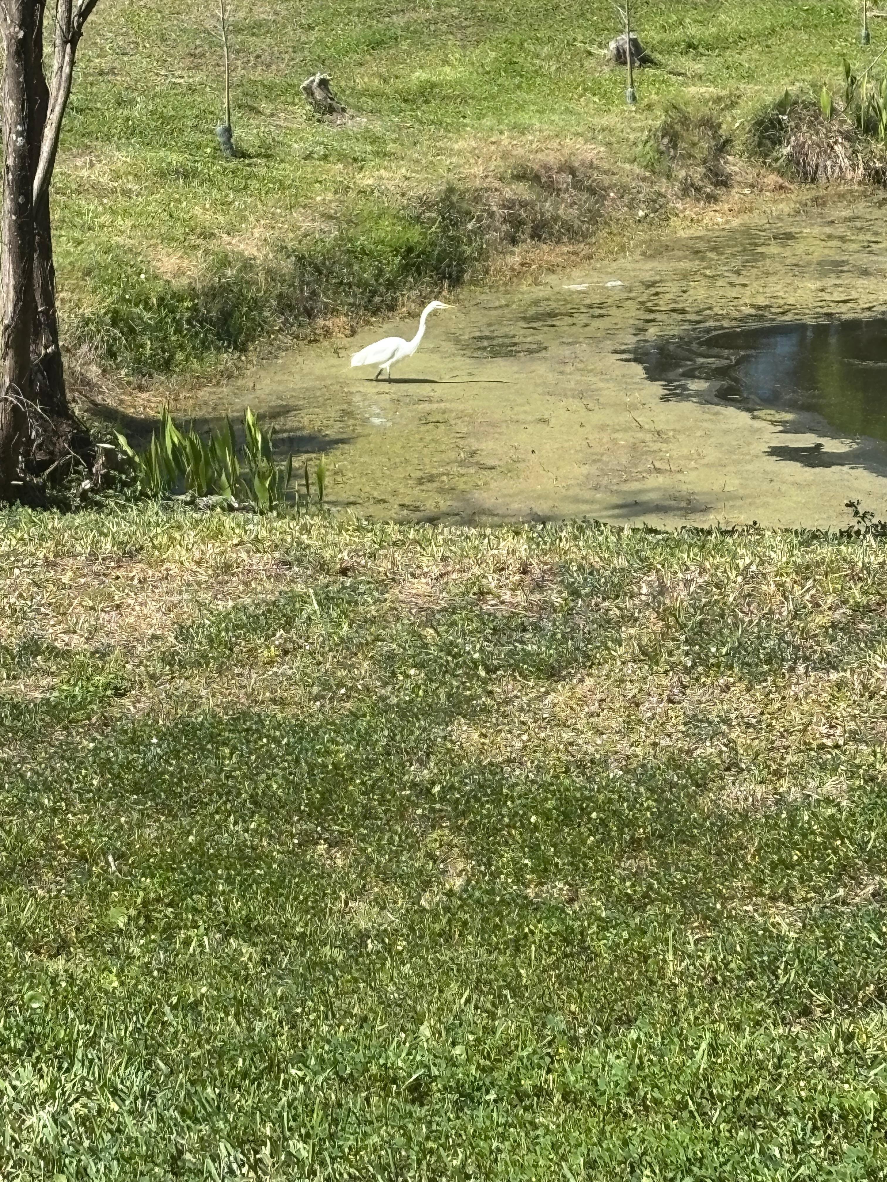 Some other company in the morning. 