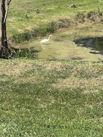 Some other company in the morning.