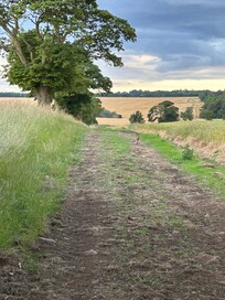 Walk through the fields with wild rabbits.