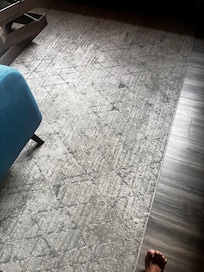 Stains/dirty rug in the master’s bedroom