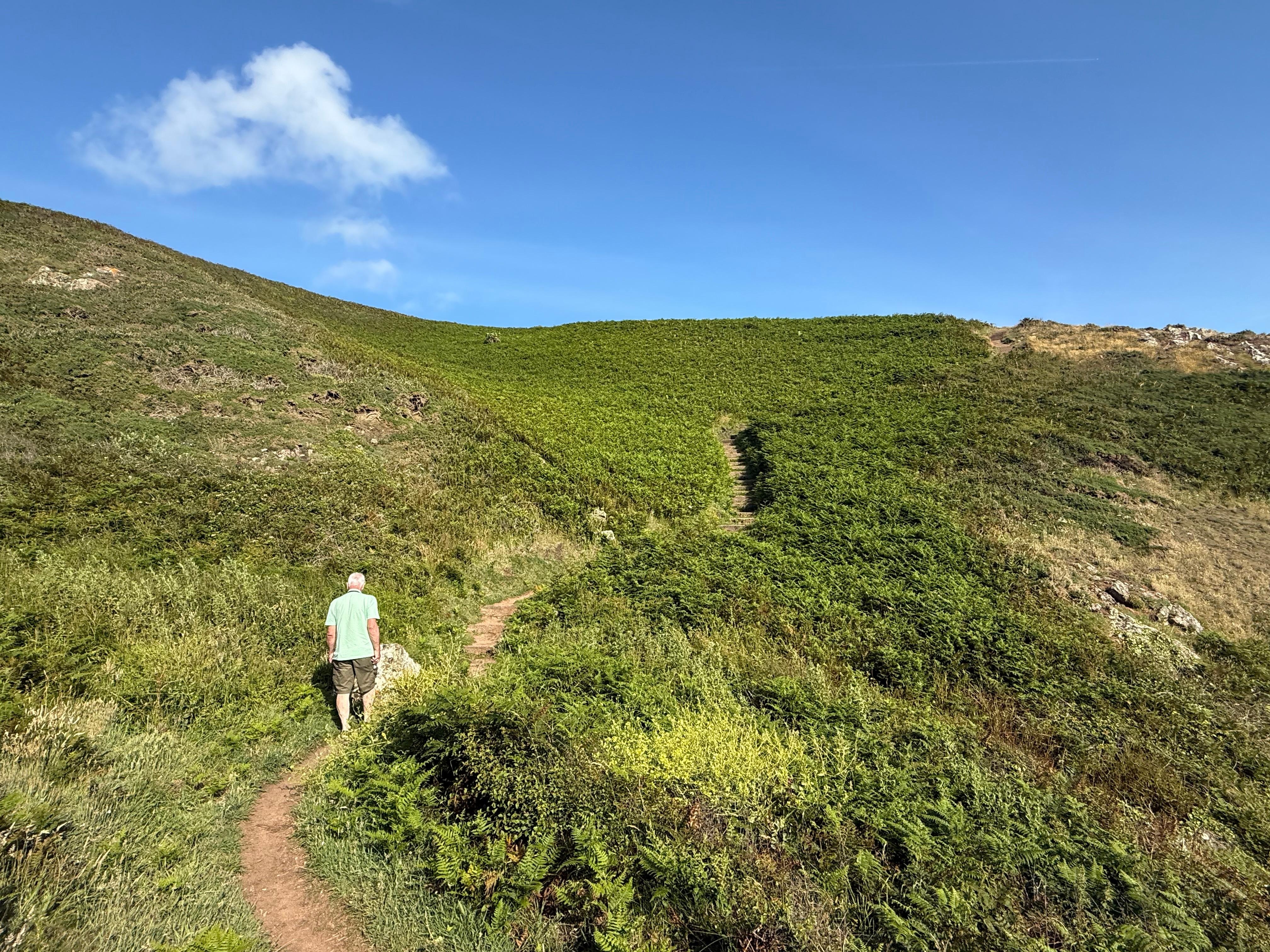 Clifftop walk, opposite Morningstar
