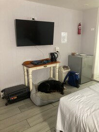 Roy the kelpie happy with his spot.