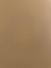 浴缸內有毛髮