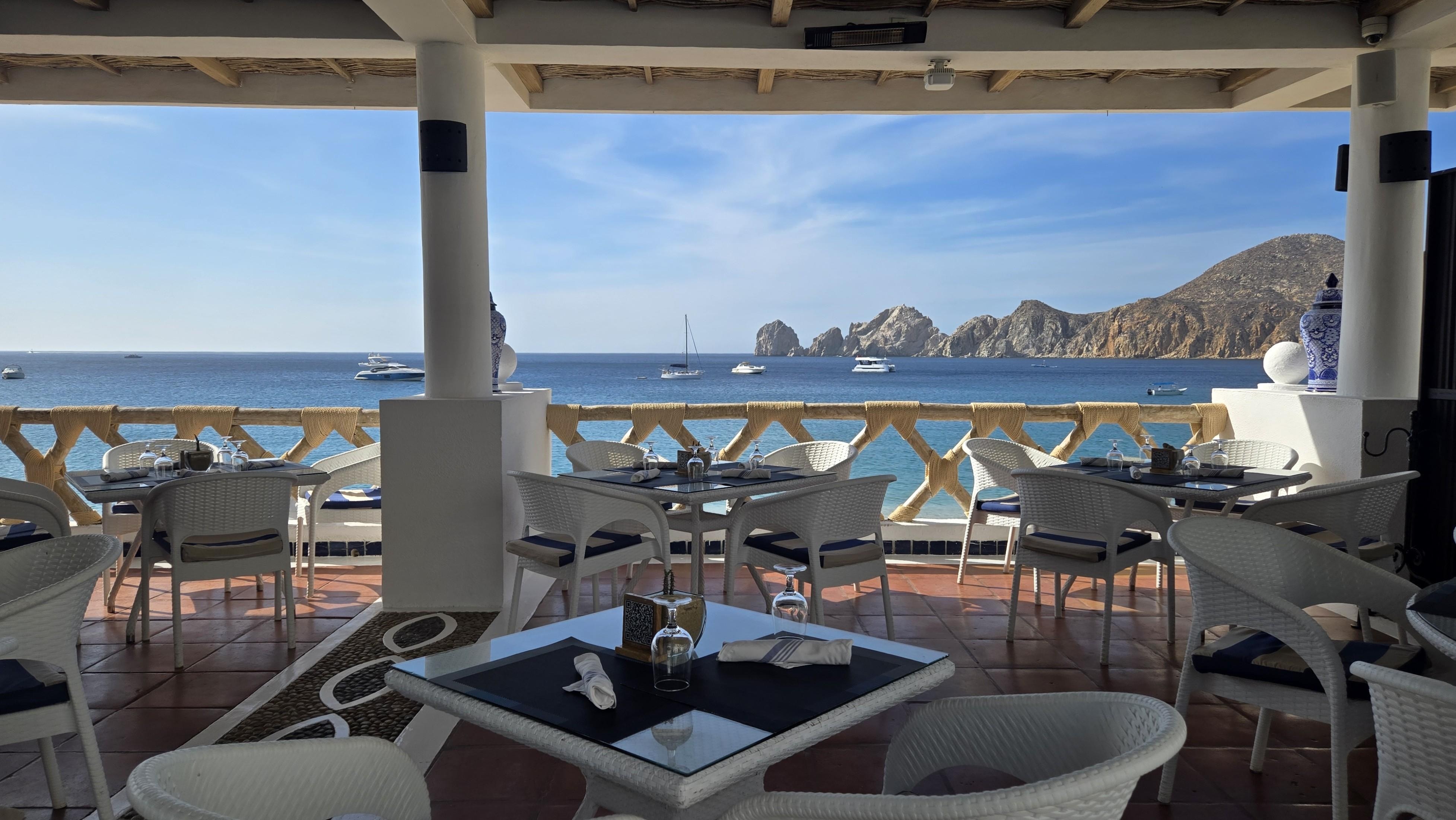 Cilantro restaurant