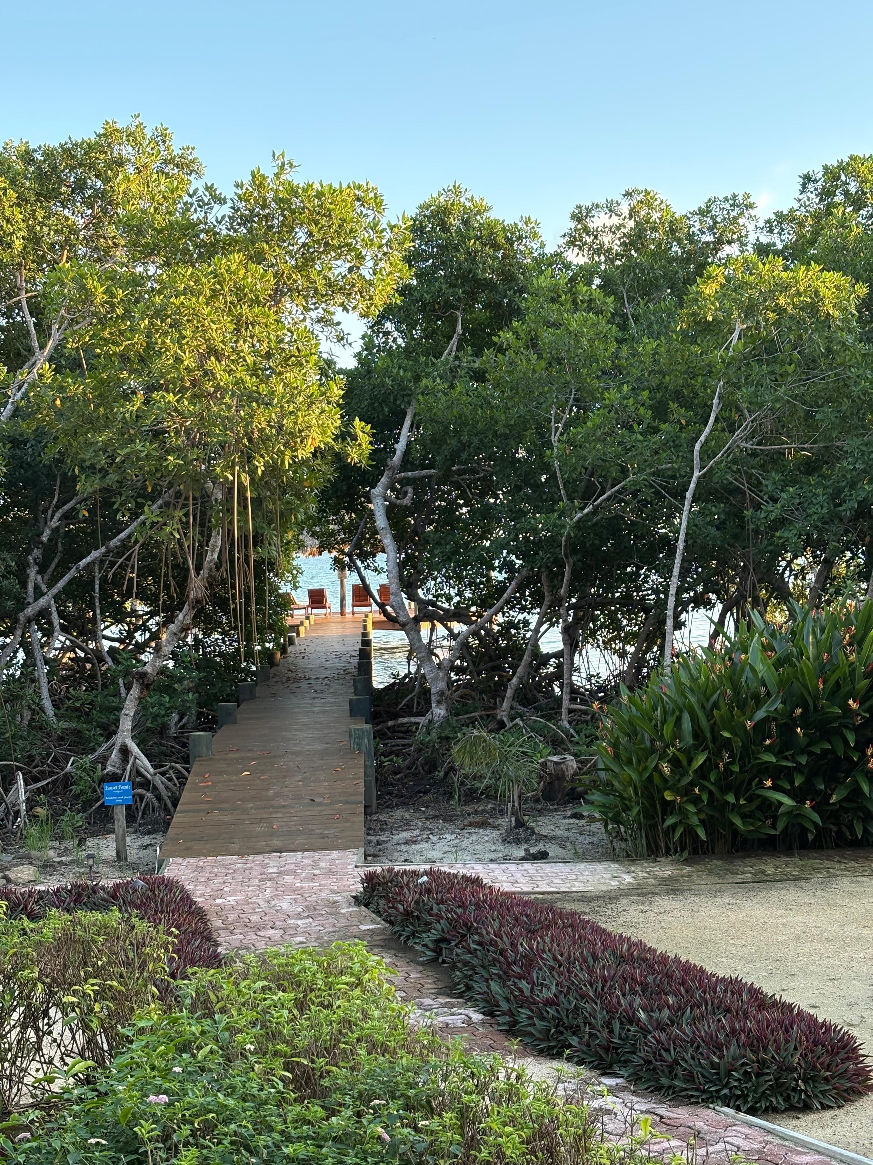 View from the back verandah. Private, and quiet if you enjoy taking in the sea breeze from a comfortable chair at the end of a dock.