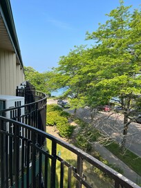 Lake partial view