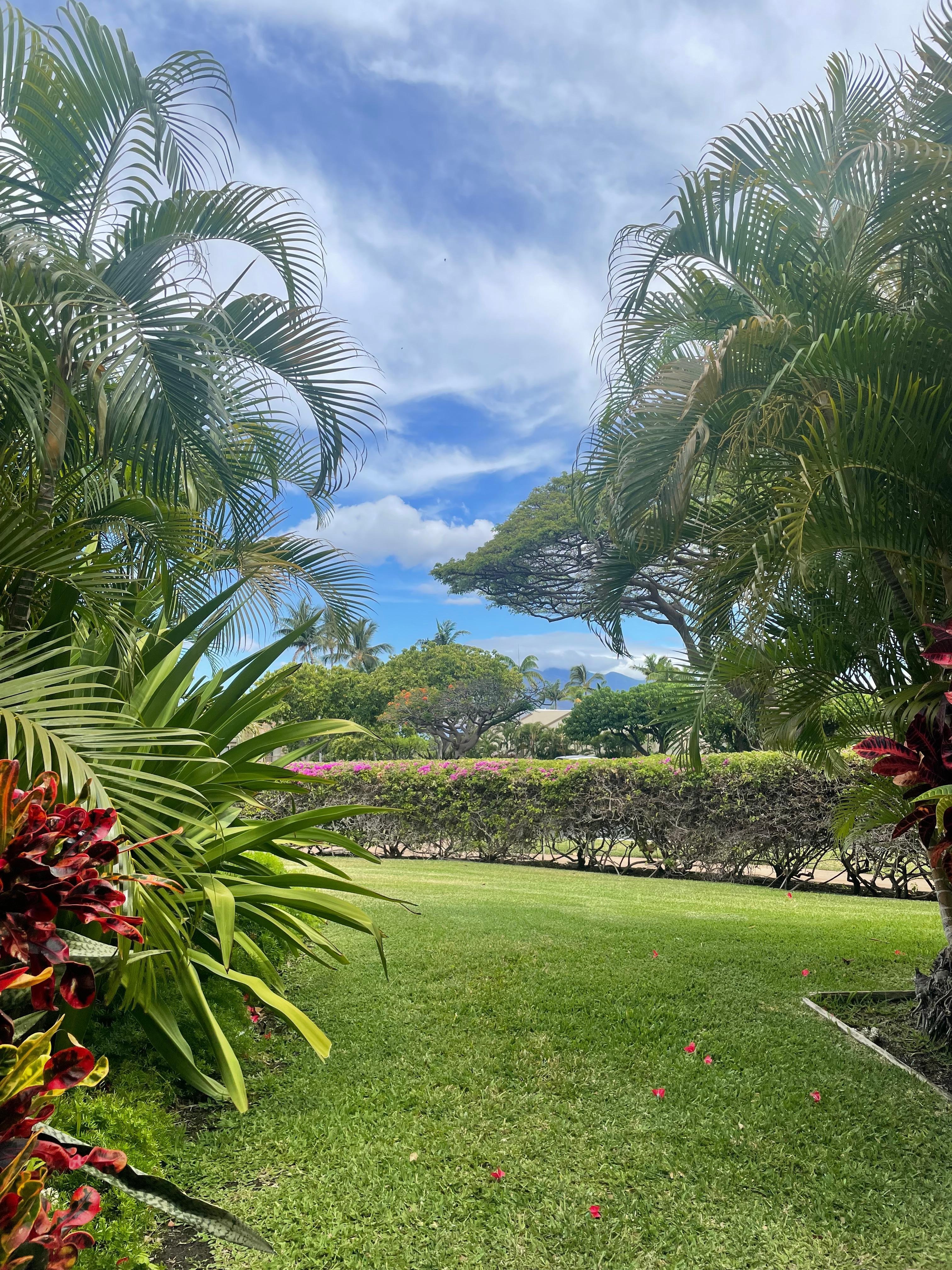 Frühstücks Blick am letzten Morgen 😢