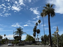 Scenery at the hotel.