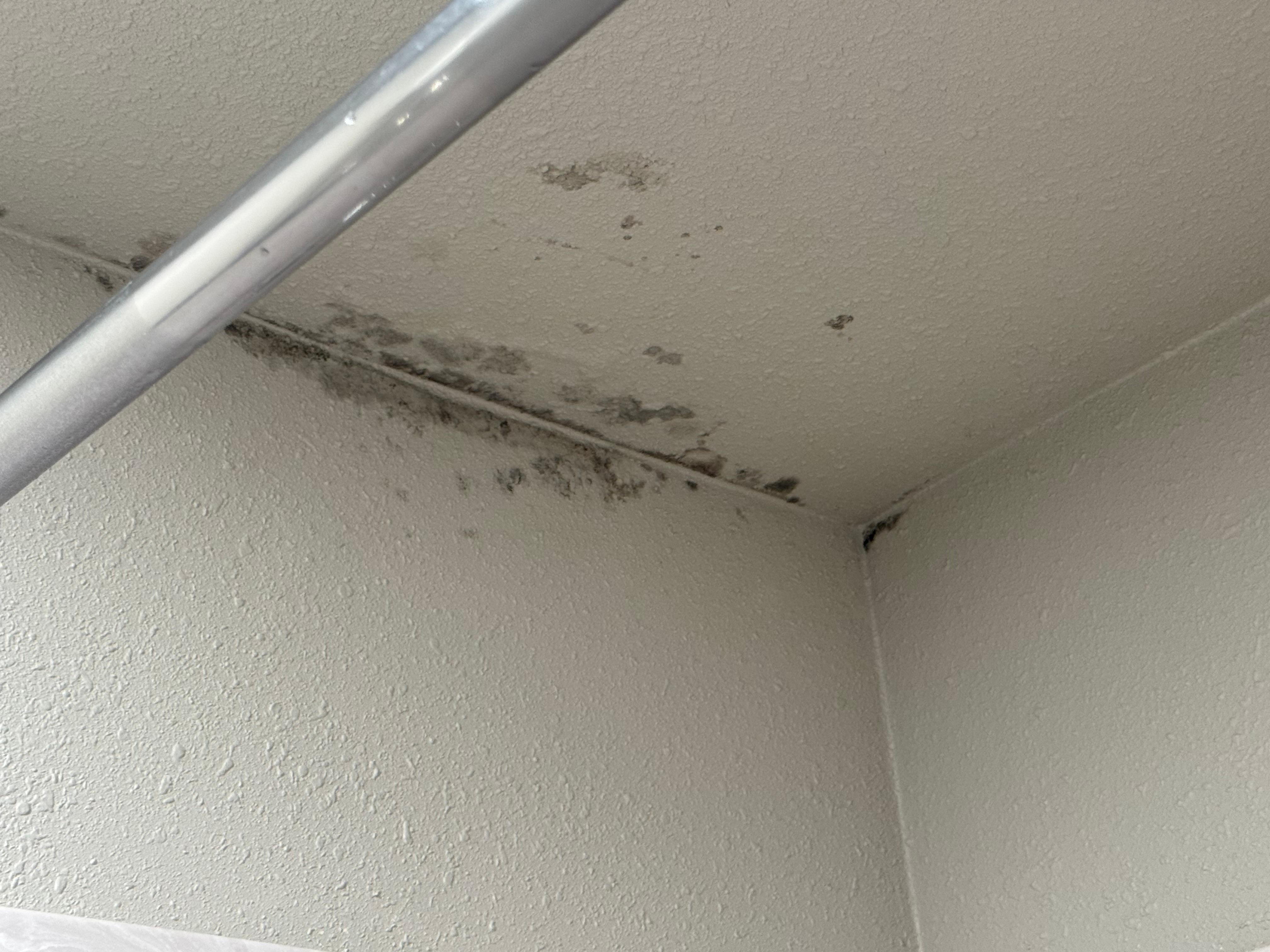 Mold or something in the shower 