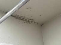 Mold or something in the shower