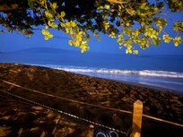 Rainy night in the shelter of the tree.