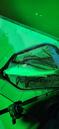 Caught a red drum right outside the door.