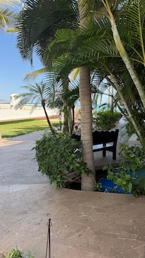 The grounds