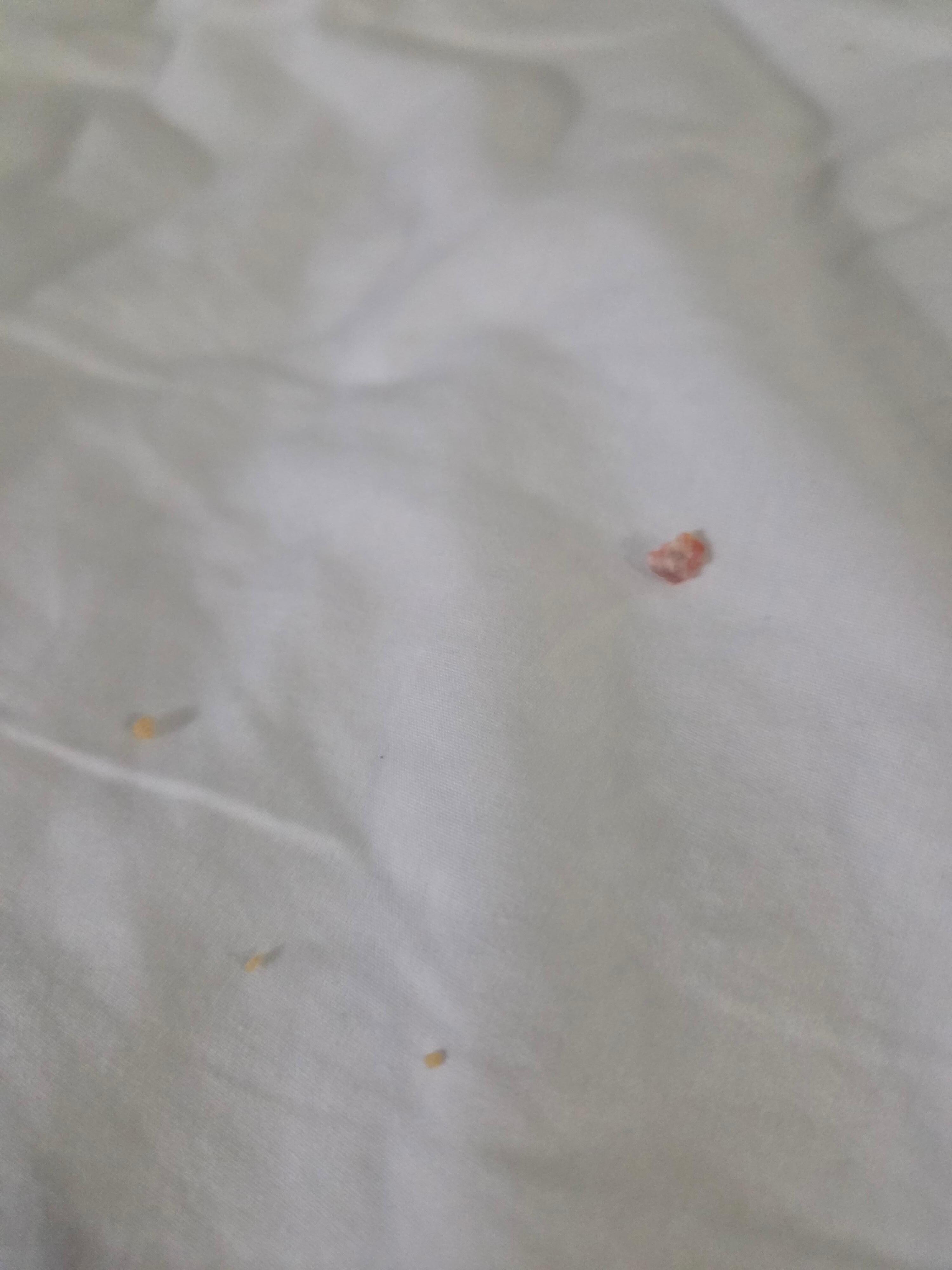 Crumbs in the bed. Like chips. 