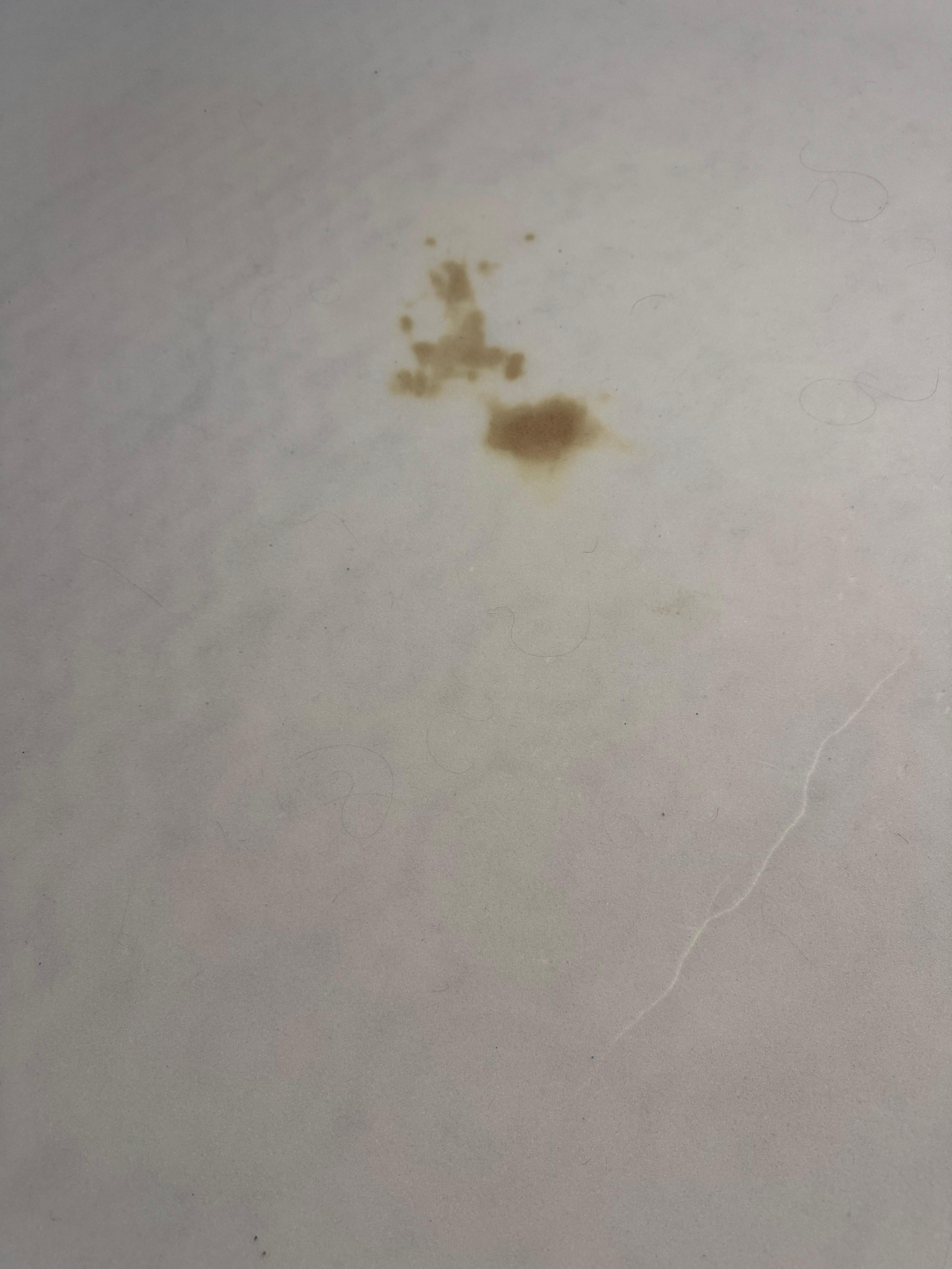 Stains and hair on mattress pad 