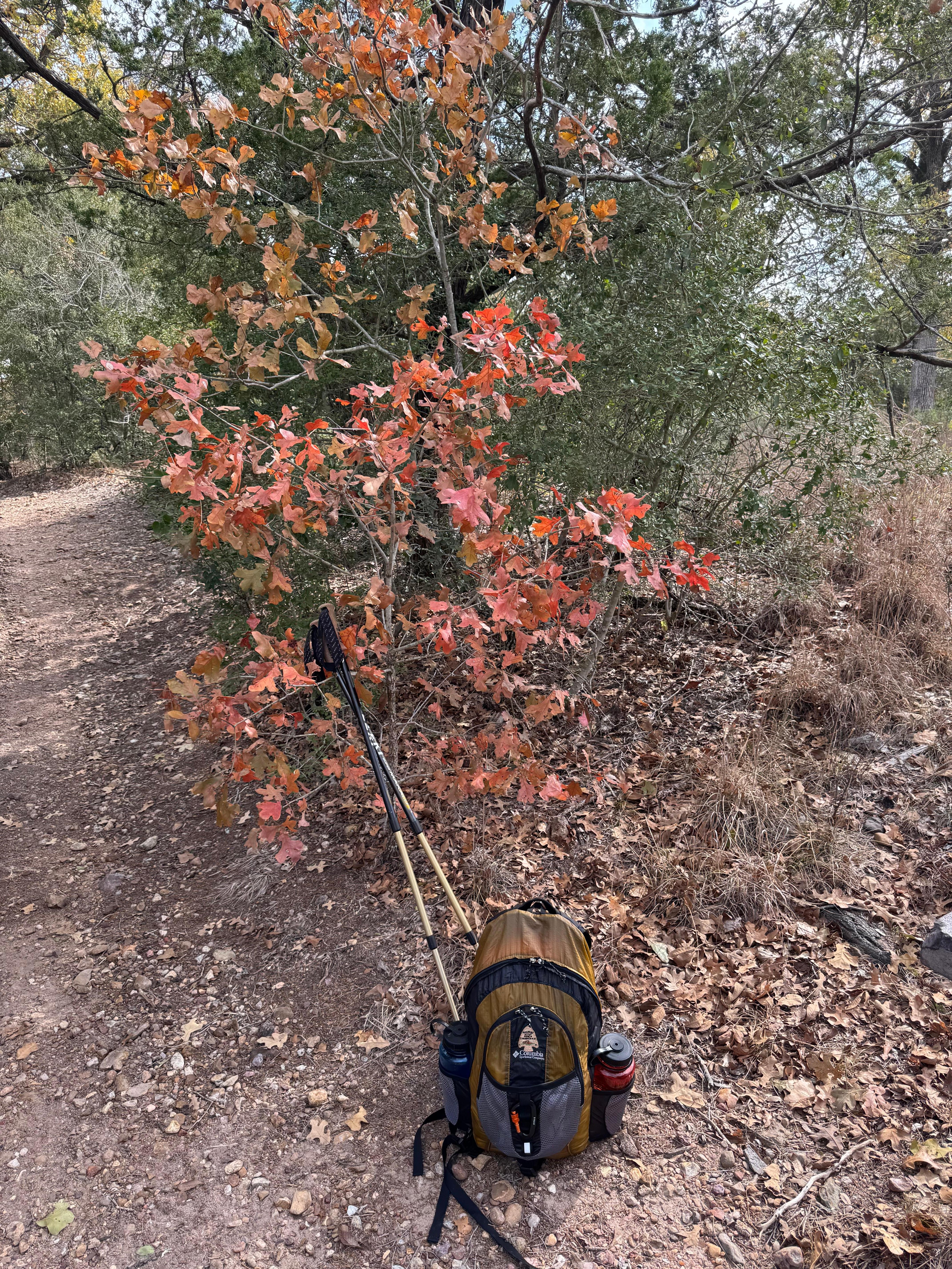 Hiking at McKinney Roughs Nature Park-gorgeous fall color