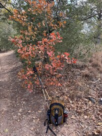 Hiking at McKinney Roughs Nature Park-gorgeous fall color