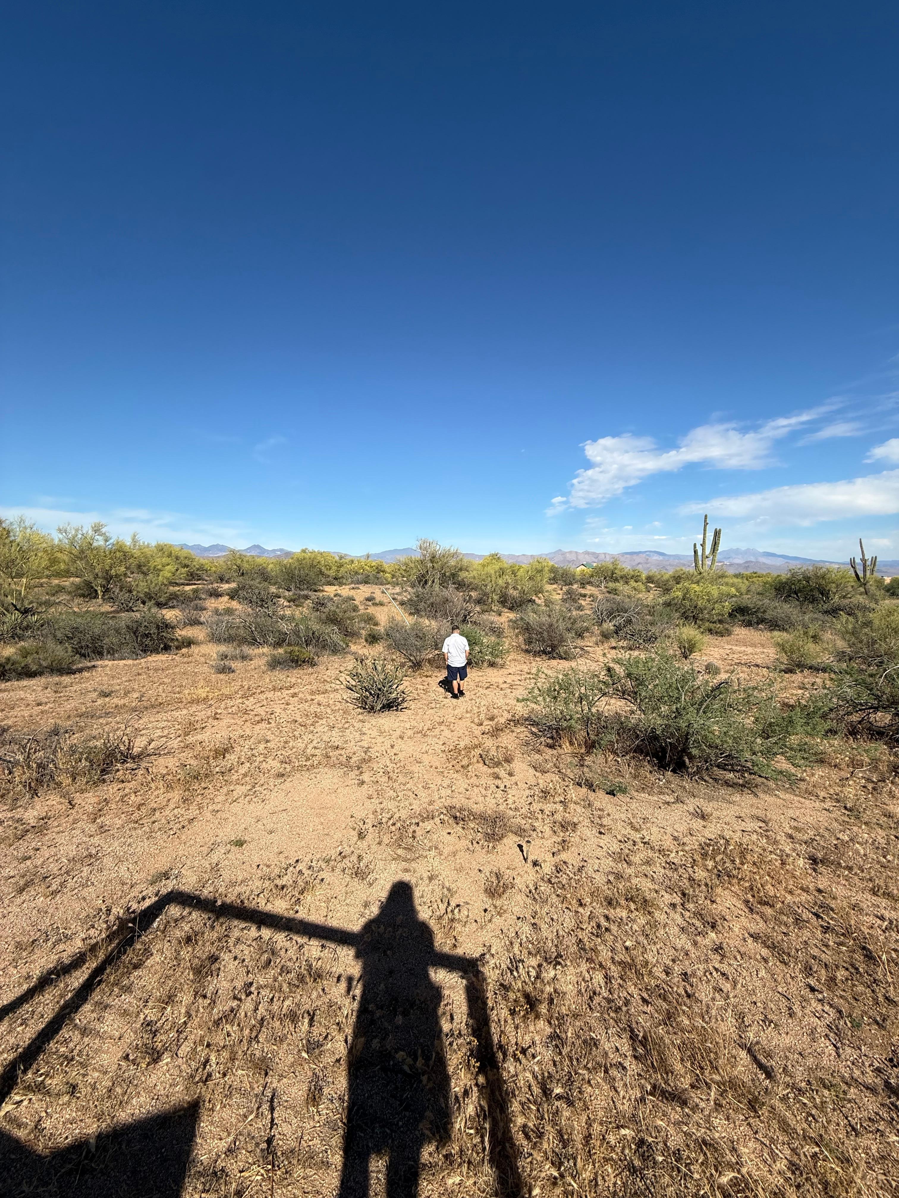 The view off the deck 