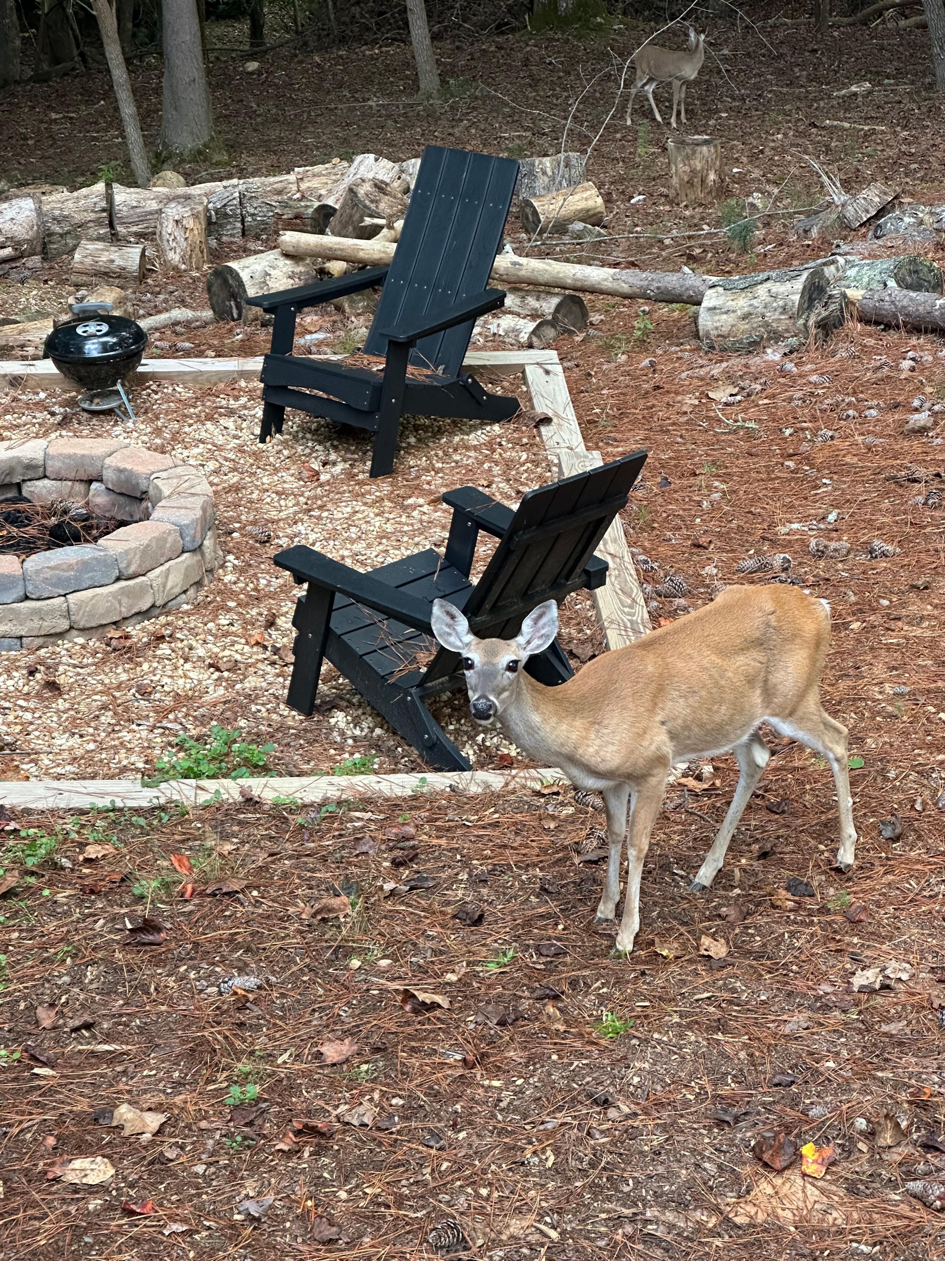 Love my visitors! ❤️