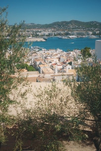 Blick vom Pool in de Altstadt
