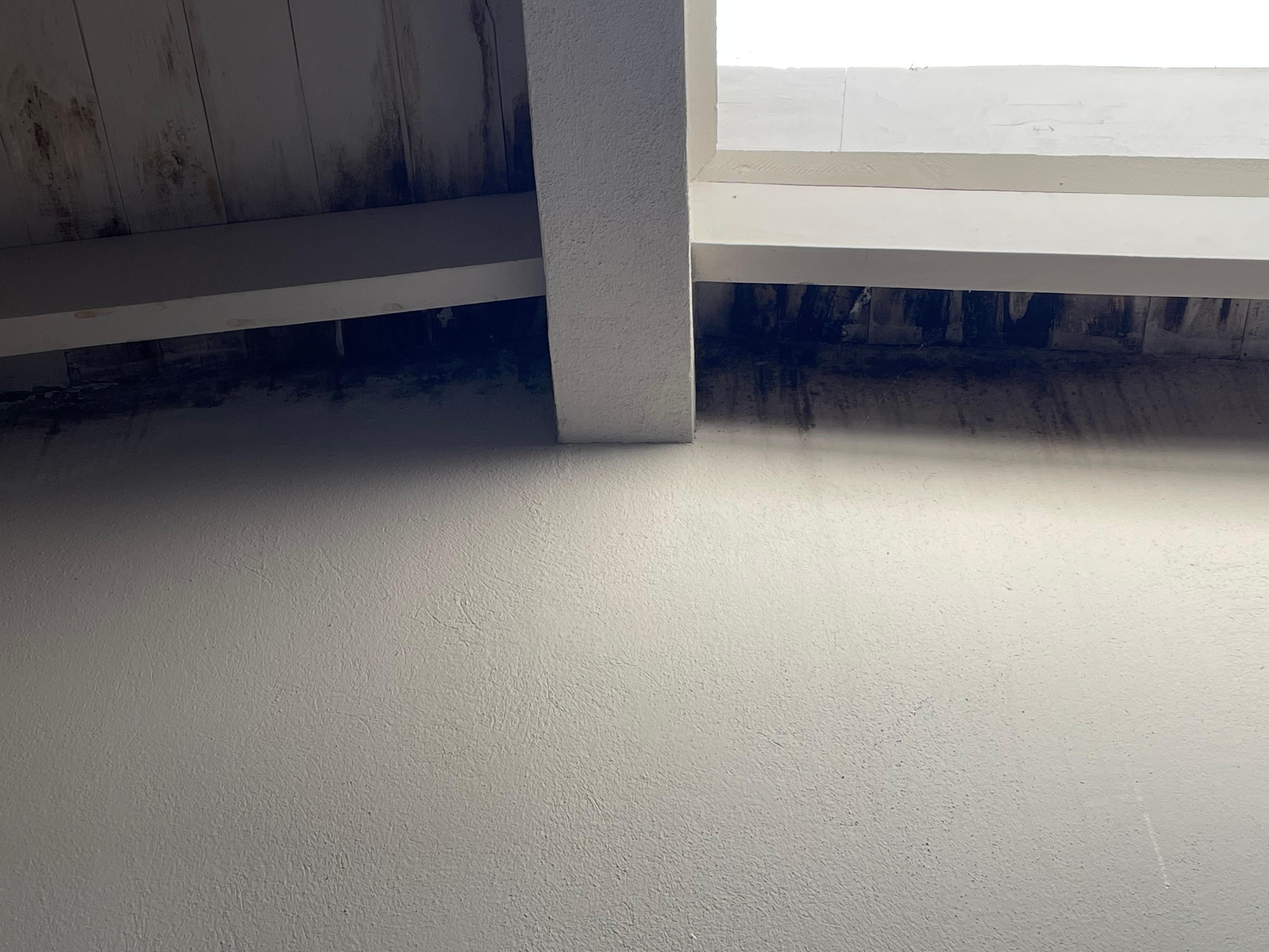 Hace falta un poco de pintura en esta parte del techo, otra parte del techo en la habitación estaba igual, la ducha tenía una fuga de agua que al abrirla salía agua por los lados. En algunos lugares de la habitación habían telarañas.