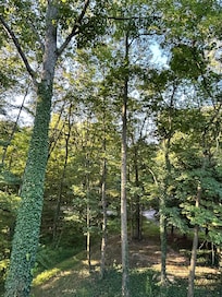 Another view from balcony