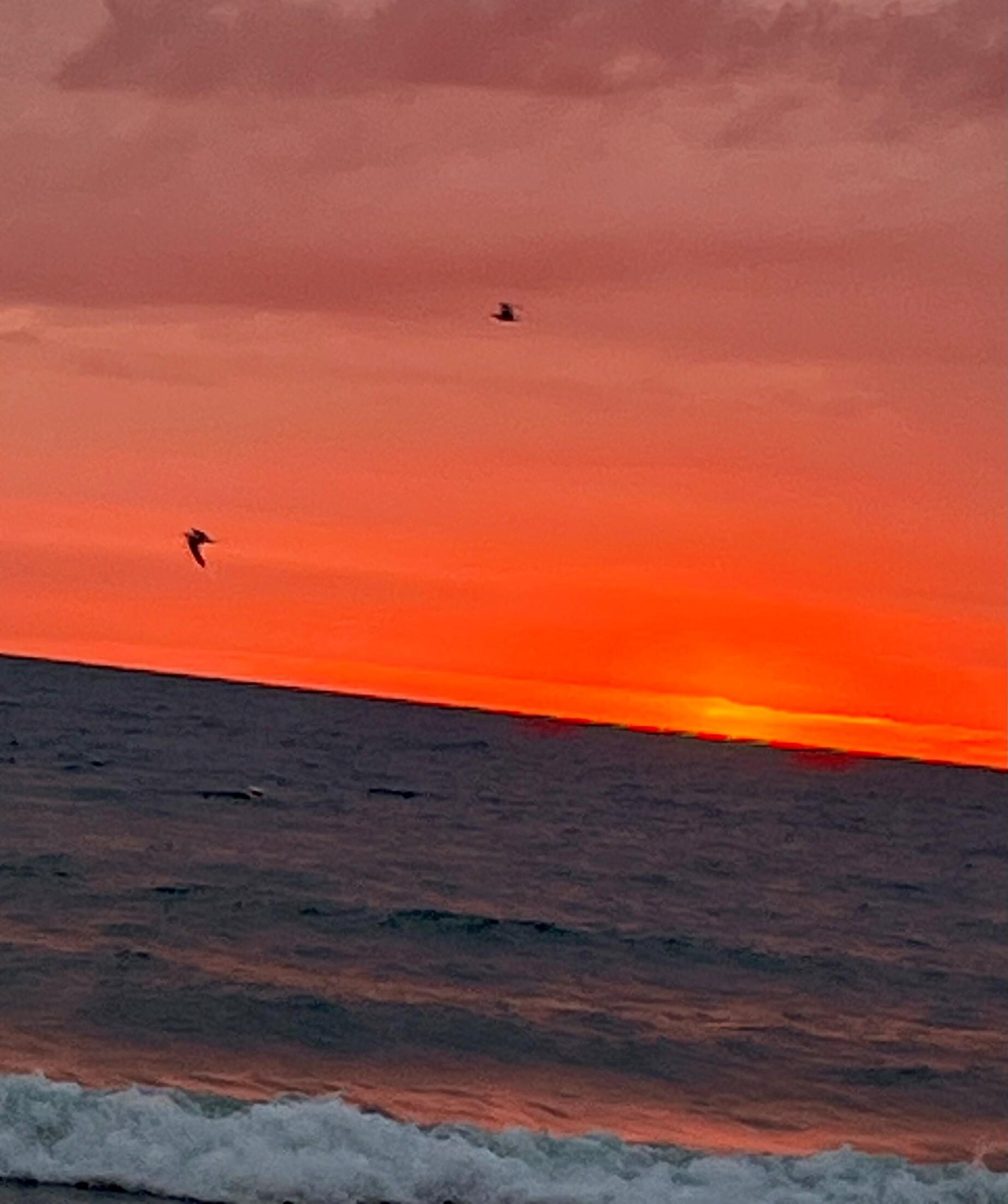 Sunset on the beach