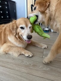 Girls enjoying their space