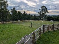 Looking west across the paddocks.