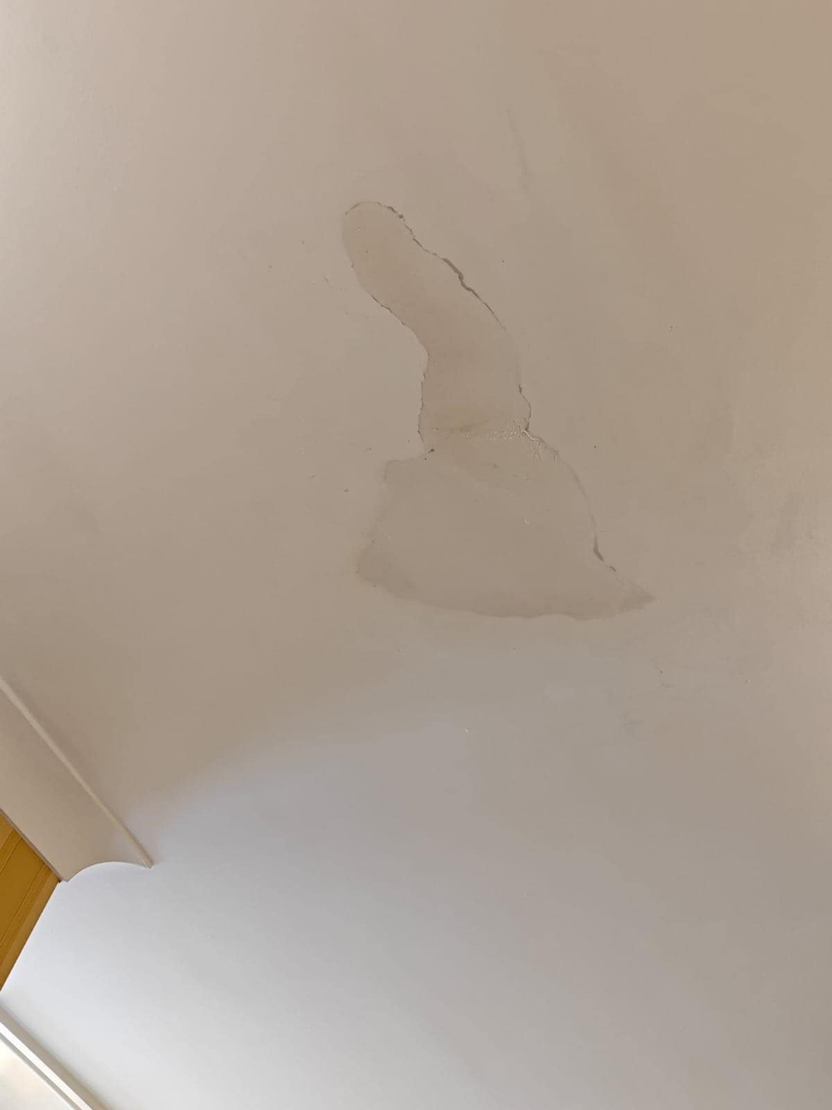 Damp patches